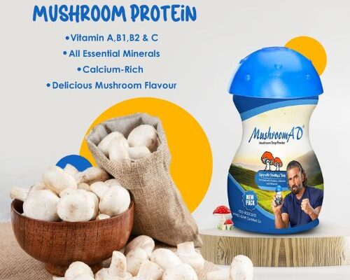 Mushroom soup powder 100gm