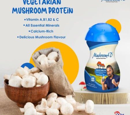 Mushroom soup powder 100gm